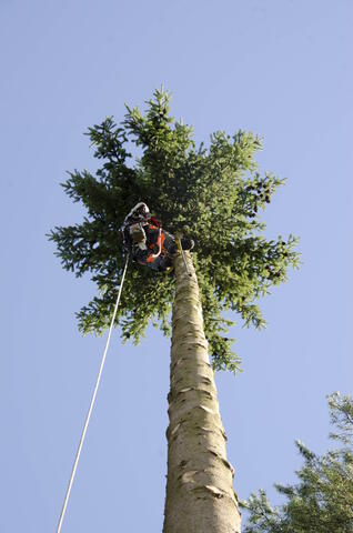 Pystykaato - alaviistosta