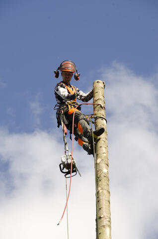 Pystykaato - tulossa alas