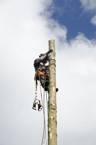 Pystykaato - tulossa alas