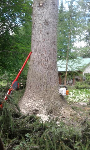 Maastakaato työnalla