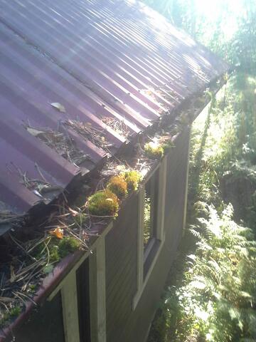 Talkkaritarve räystäissä